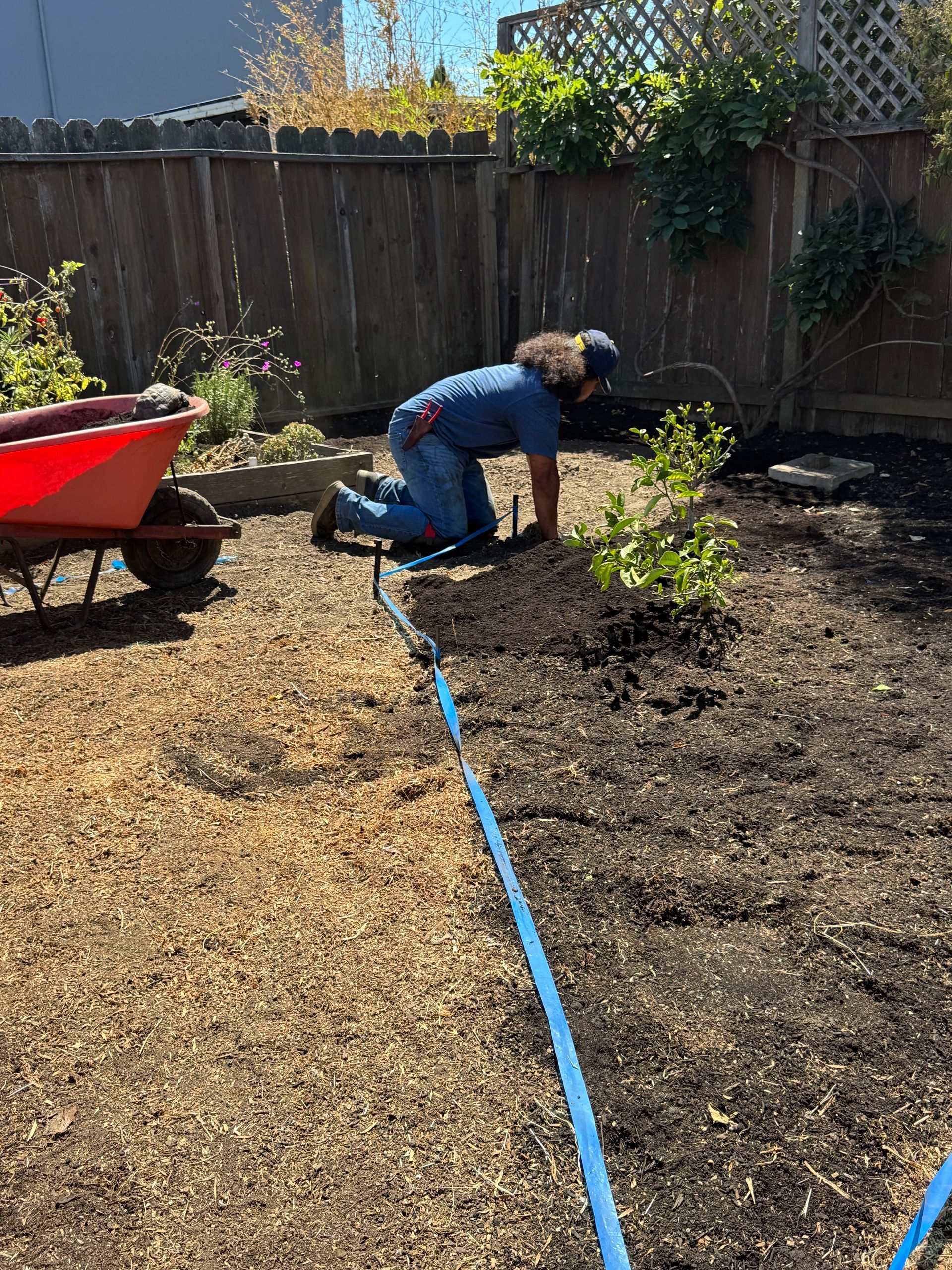 Person kneeling in a garden, tending to a plant, with a wheelbarrow nearby.