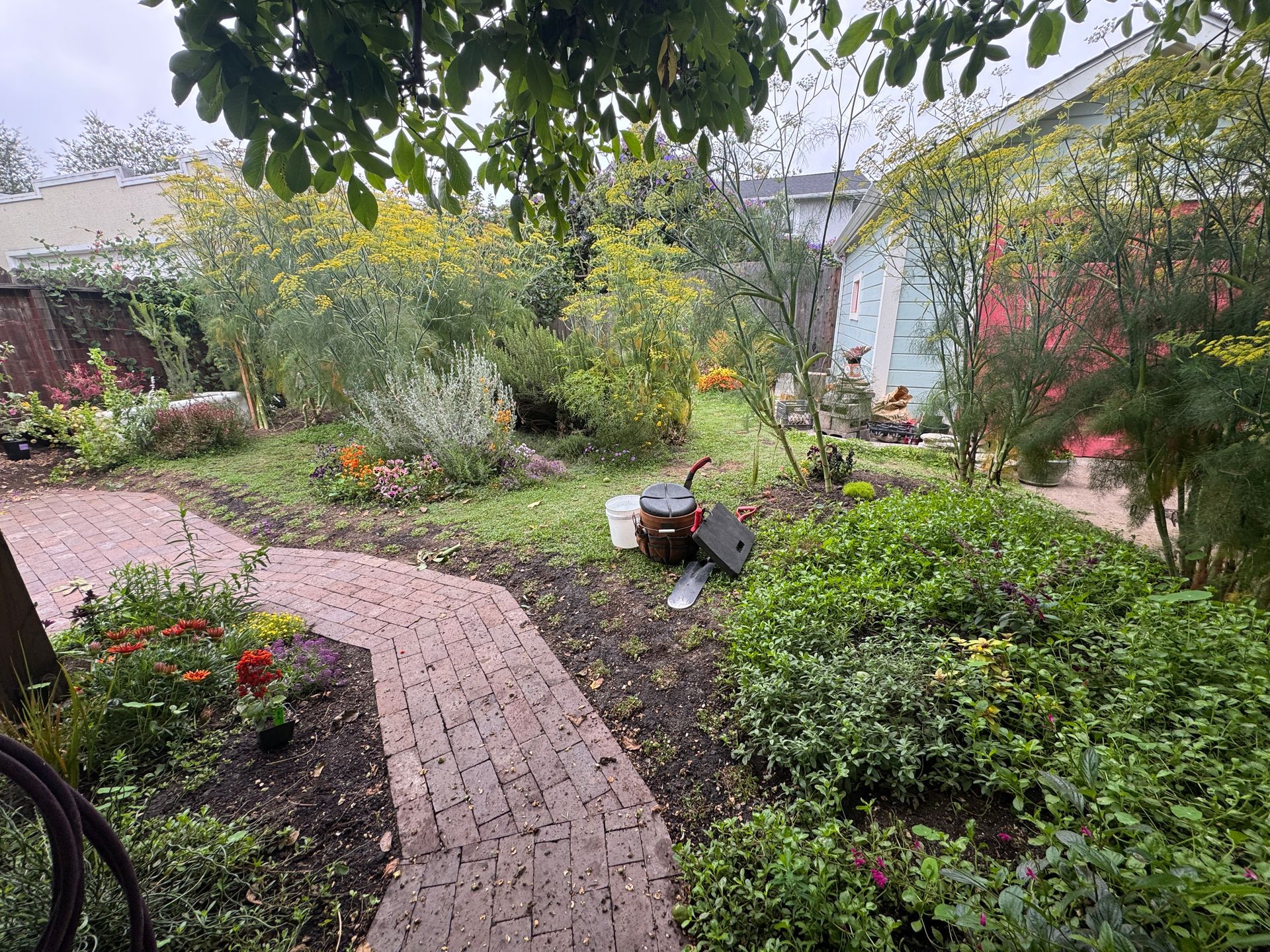 Brick pathway winds through a lush backyard garden with diverse greenery, flowers, and a small water pump.