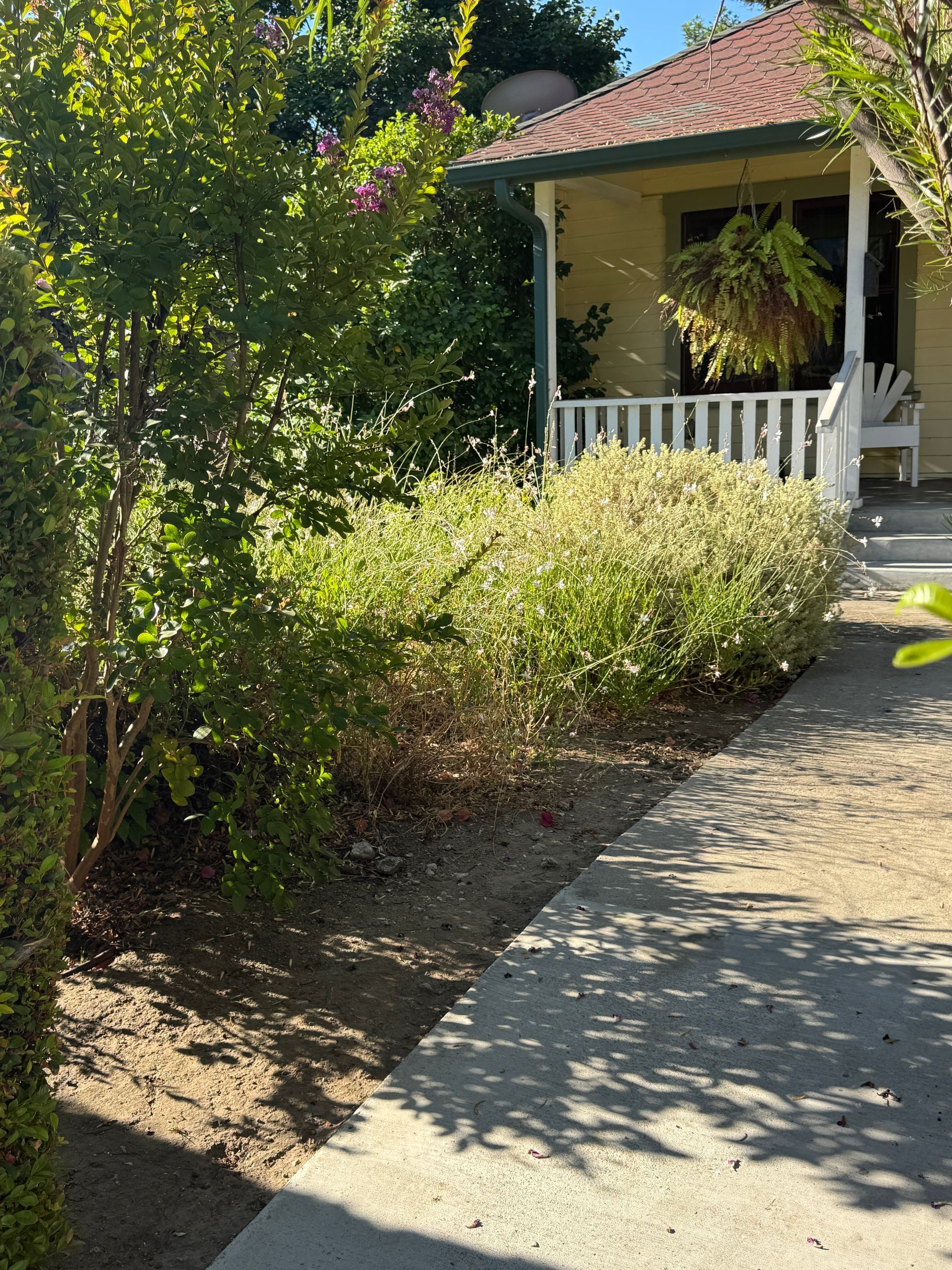 Sidewalk leading to a yellow house with white porch and greenery. Bright sunlight.