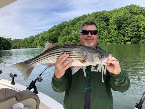 Man on a boat holding a large striped fish on a calm lake with green trees in the background
