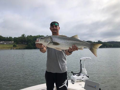 Man holding a large striped fish on a boat, with a lake and cloudy sky behind him.