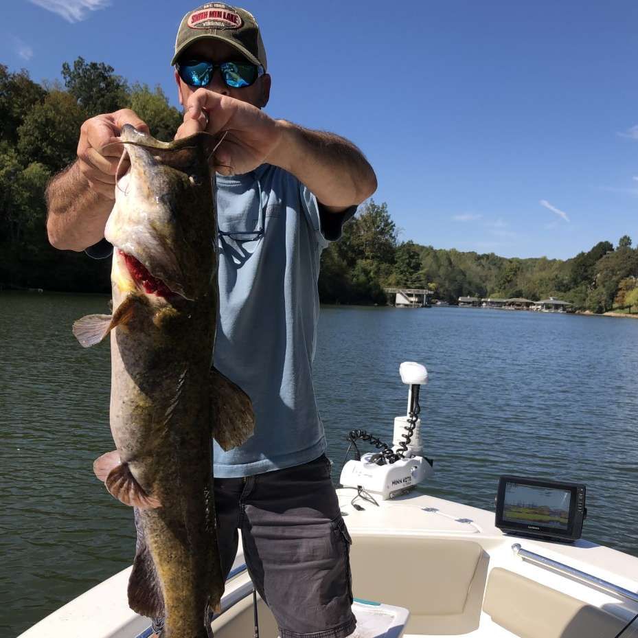Angler on a boat holding a large fish over a lake on a sunny day