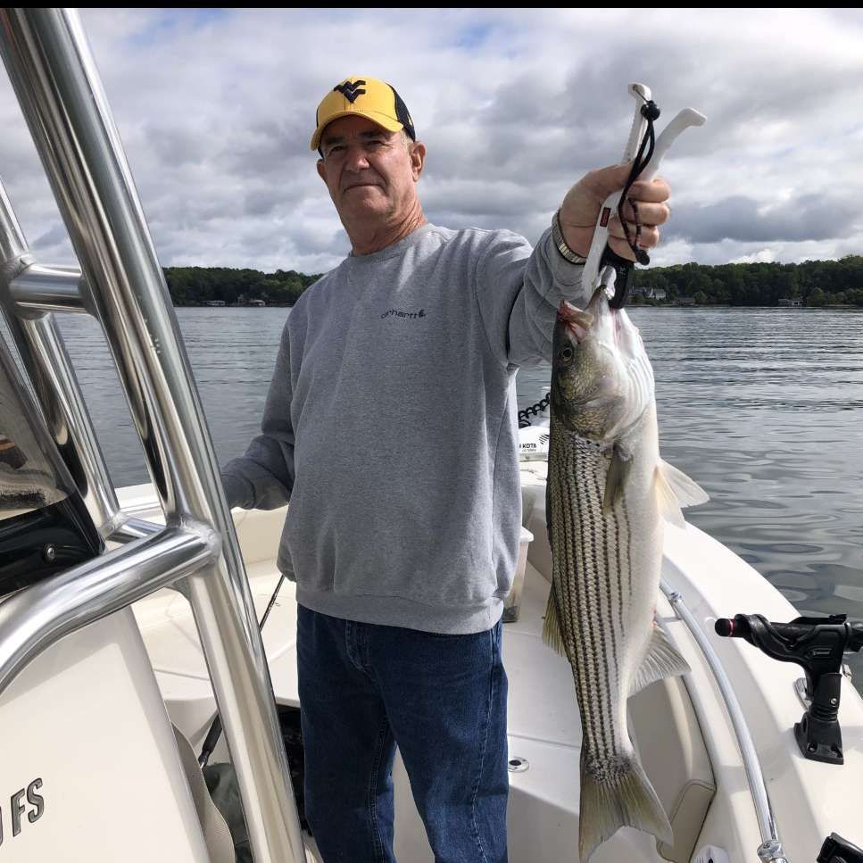 Man on a boat holds up a large striped fish on a cloudy lake.