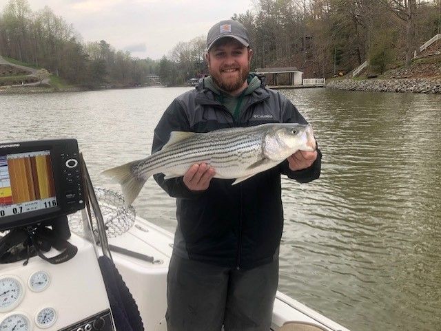 Man on a boat holding a large striped fish on a river, smiling at the camera.