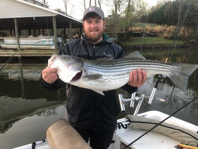 Man holding a large striped bass on a dock beside a boat.