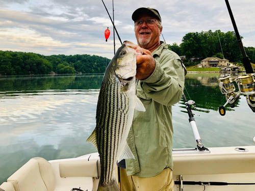 Man holding a large striped bass on a boat at a calm lake, with fishing rods and a tree-lined shore.