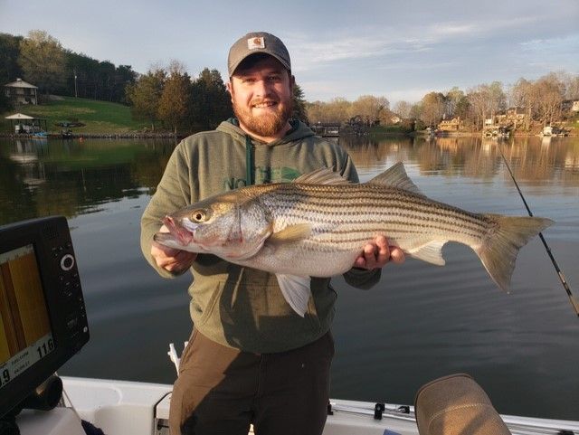 Man holding a large striped bass on a boat at sunset on a calm lake