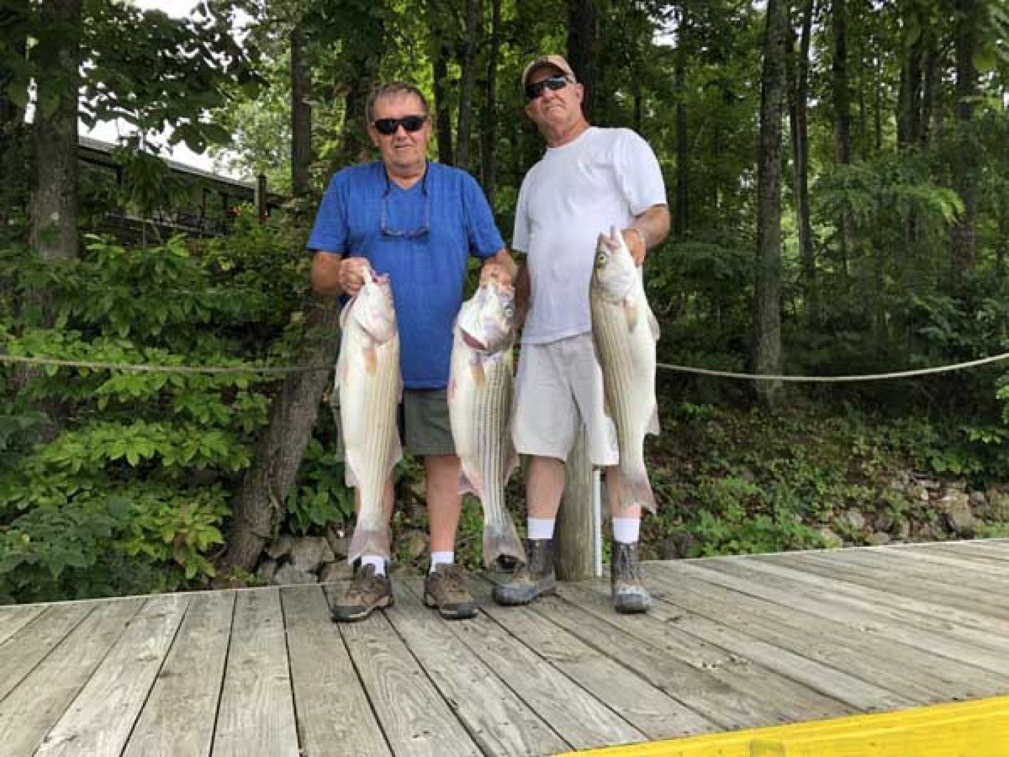 Two anglers on a wooden dock hold up large fish in a wooded outdoor setting.