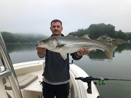 Man on a boat holding a large striped fish on a calm lake
