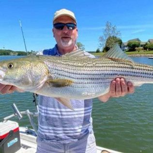 Man holding a large striped fish on a boat on calm water under a clear blue sky