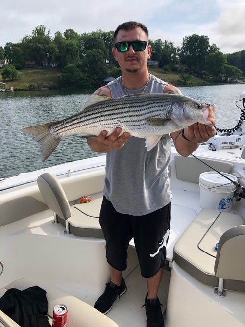Man on a boat holding a large striped fish on a calm lake