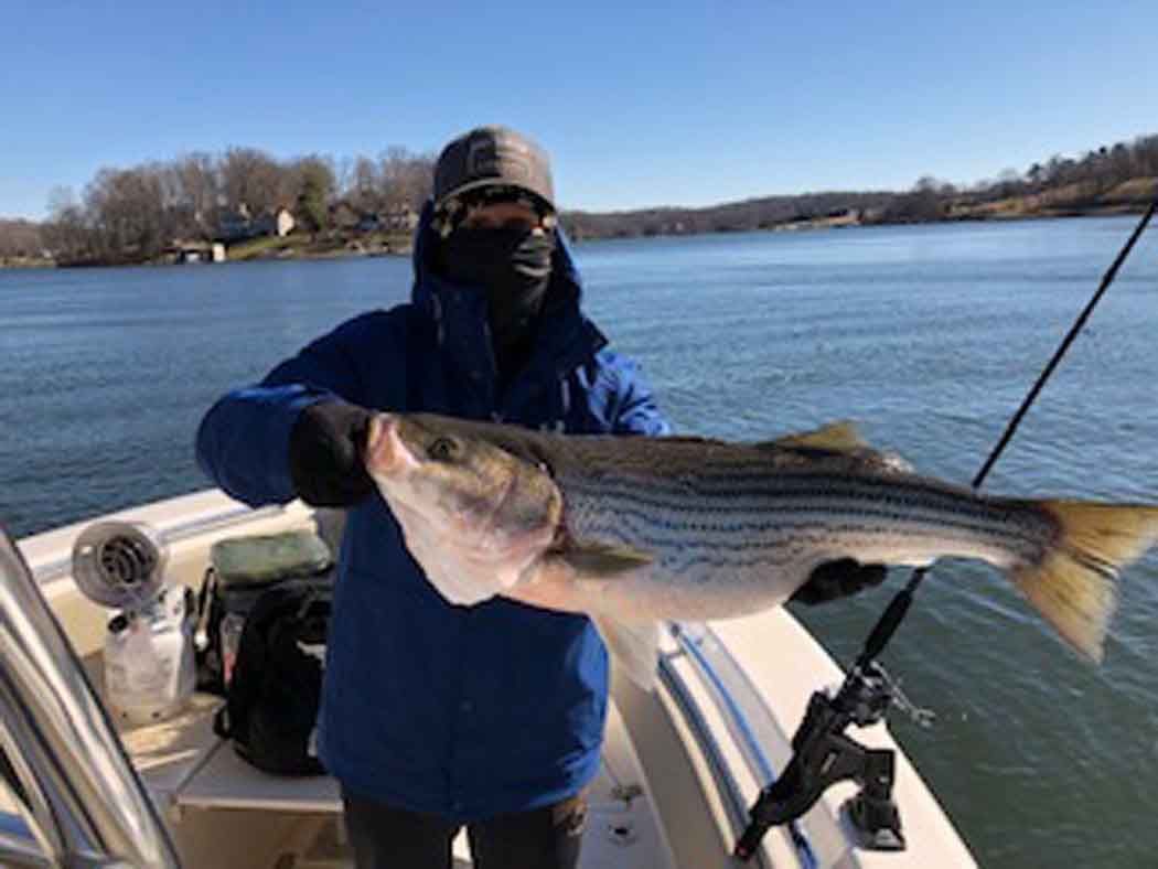Person on a boat holding a large striped fish on a lake.