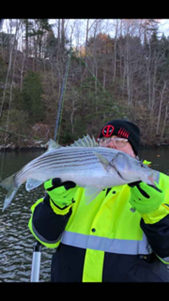 Person in neon jacket holding a fish by a lakeside with trees in the background