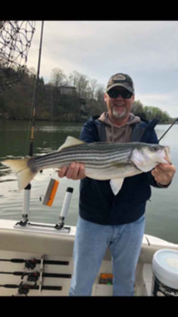 Person on a boat holding a large striped fish over calm water.