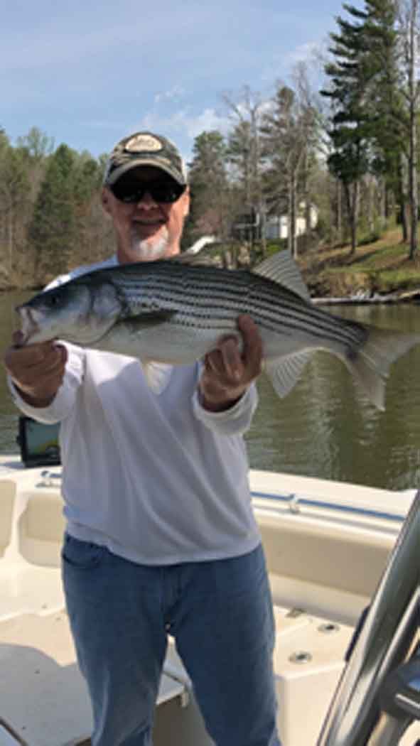Person on a boat holding a large striped fish over calm water with trees in the background