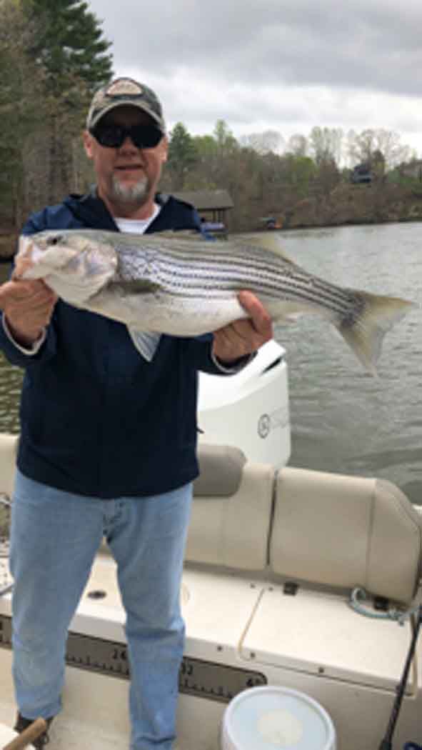 Man on a boat holding a large striped fish by a calm lake on an overcast day