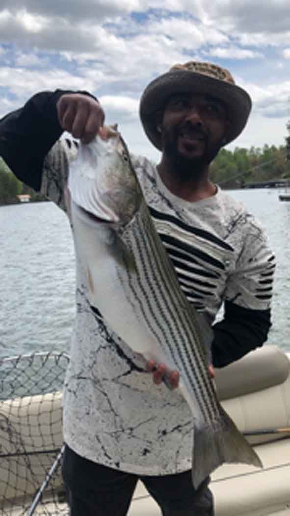 Person holding a large striped fish on a boat by the water