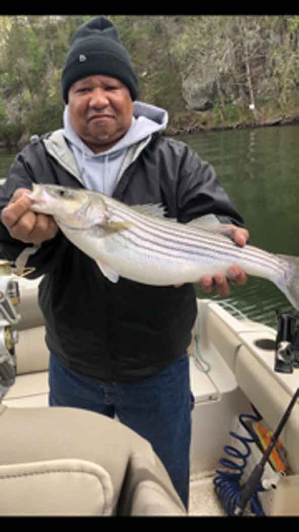 Person on a boat holding a large striped fish over calm water.