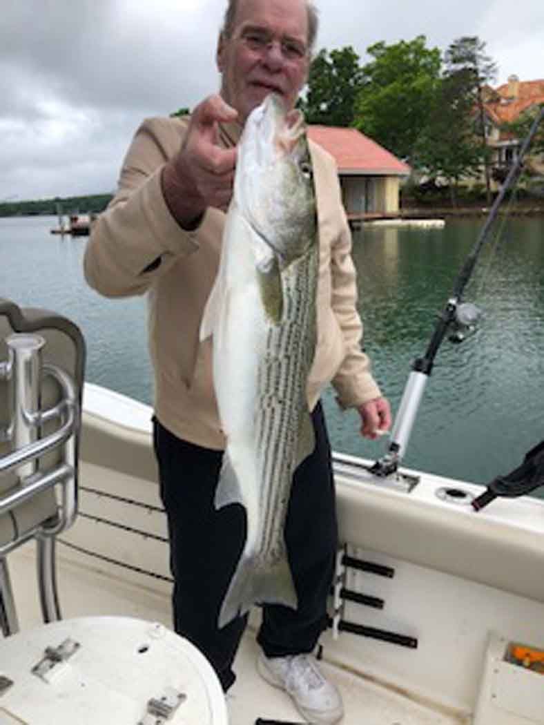 Man holding a large striped fish on a boat dock with water and buildings in the background