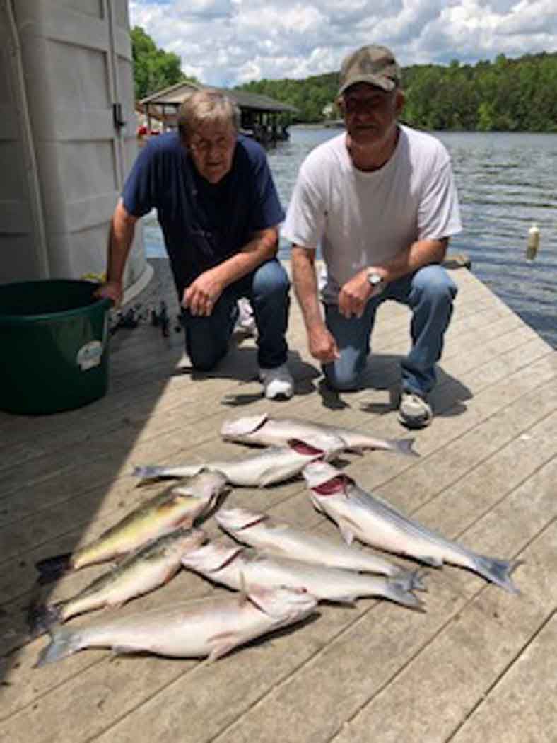 Two people kneel beside a dock with a pile of freshly caught fish by the water.