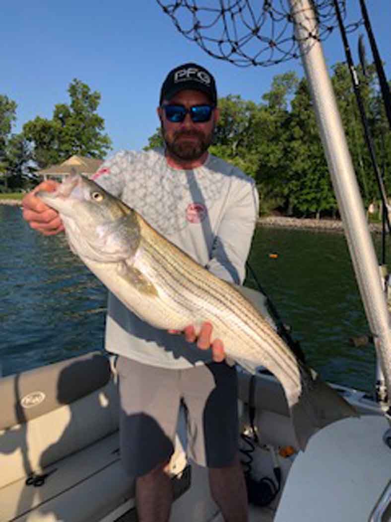 Angler on a boat holding a large striped fish on a sunny lake