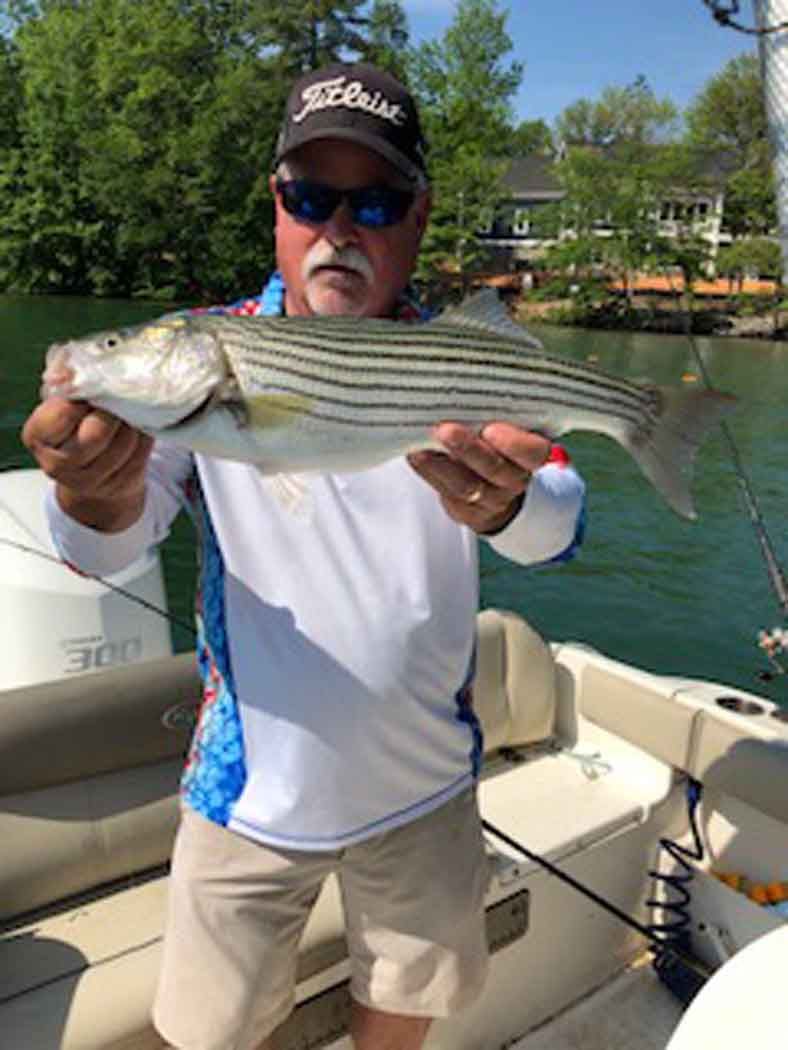 Man holding a striped fish on a boat with water and trees in the background