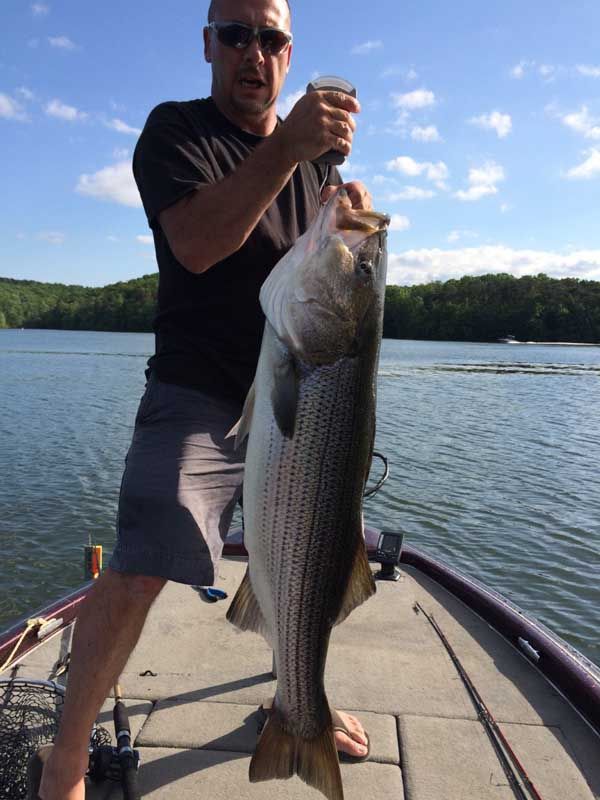 Man standing on a boat holding a large striped fish over a calm lake under a blue sky