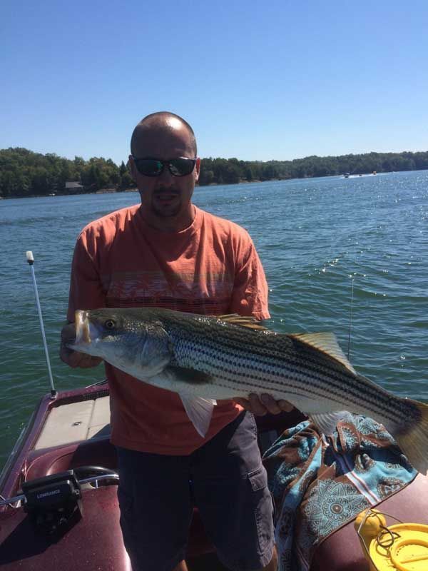 Man holding a striped fish on a boat on a sunny lake.