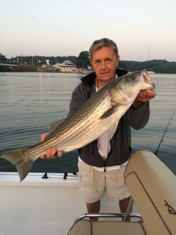 Man holding a large striped bass on a boat at sunset on calm water