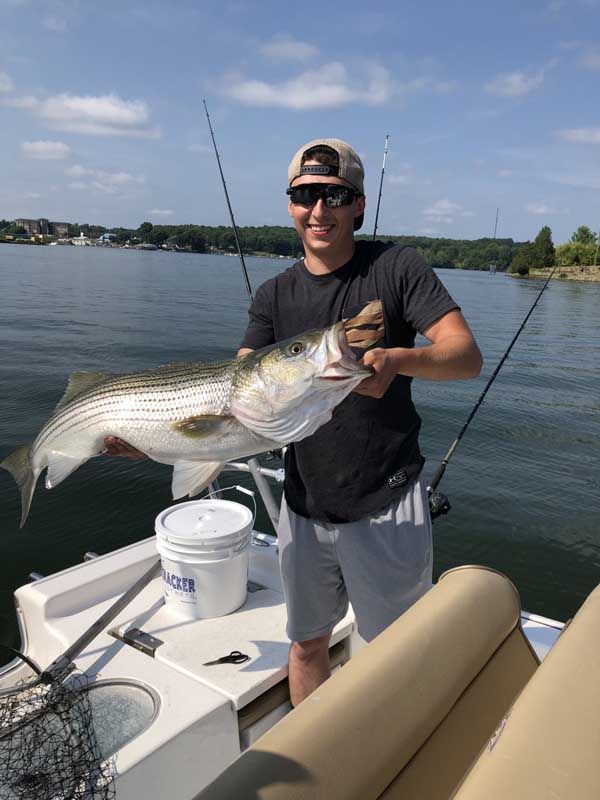 Man on a boat holding a large fish on a sunny lake, with fishing poles and a bucket nearby