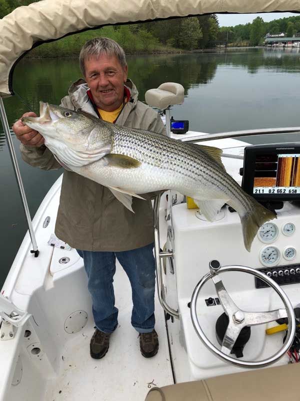 Man holding a large striped bass on a boat by a calm lake