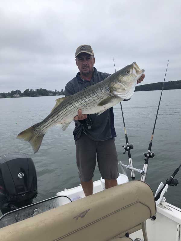 Man on a boat holding a large striped fish on a calm lake under a cloudy sky