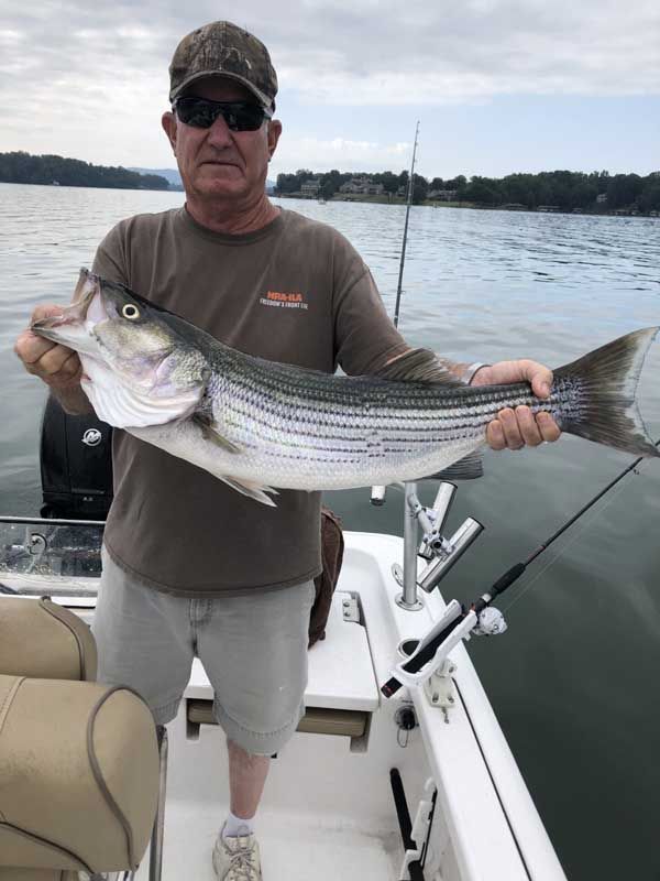 Man holding a large striped bass on a boat on calm water under an overcast sky