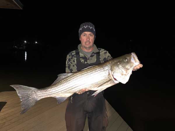 Man holding a large striped fish on a dock at night