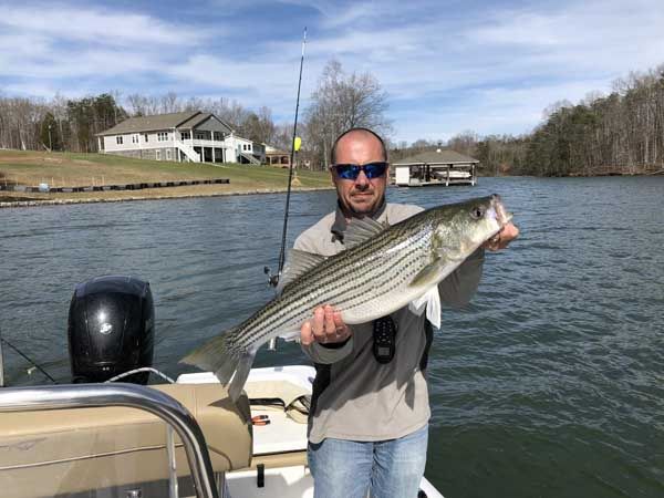 Man holding a large striped fish on a boat on a lake