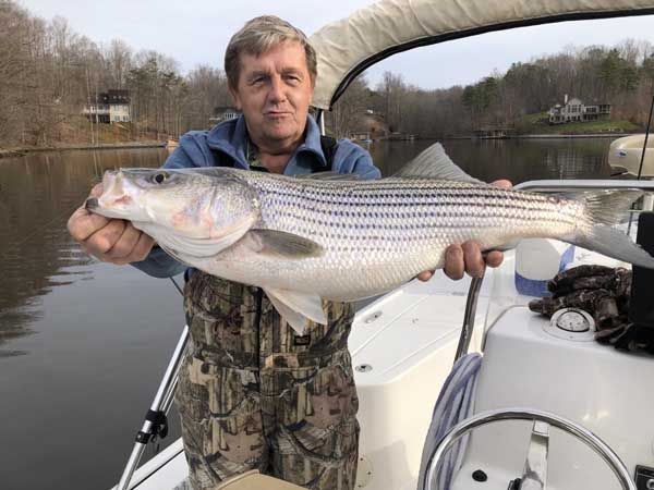 Man holding a large striped fish on a boat by a calm river, with bare trees in the background
