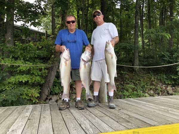 Two people standing on a wooden dock, each holding a large fish, with trees in the background.