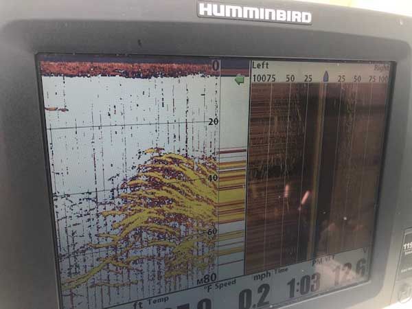 Humminbird fish finder display with underwater sonar traces and depth readings.