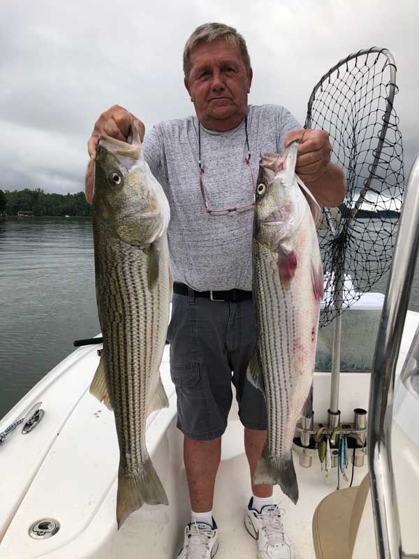 Man on a boat holding two large striped fish, with a net behind him on calm water.