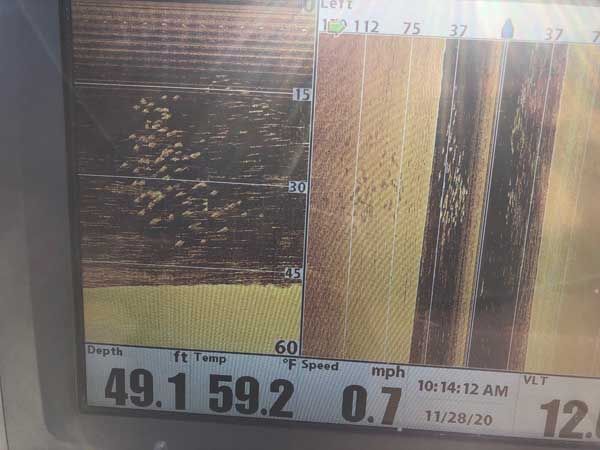 Gauge display with dark left panel and striped right panel, showing numbers 49.1, 59.2, and 0.7.