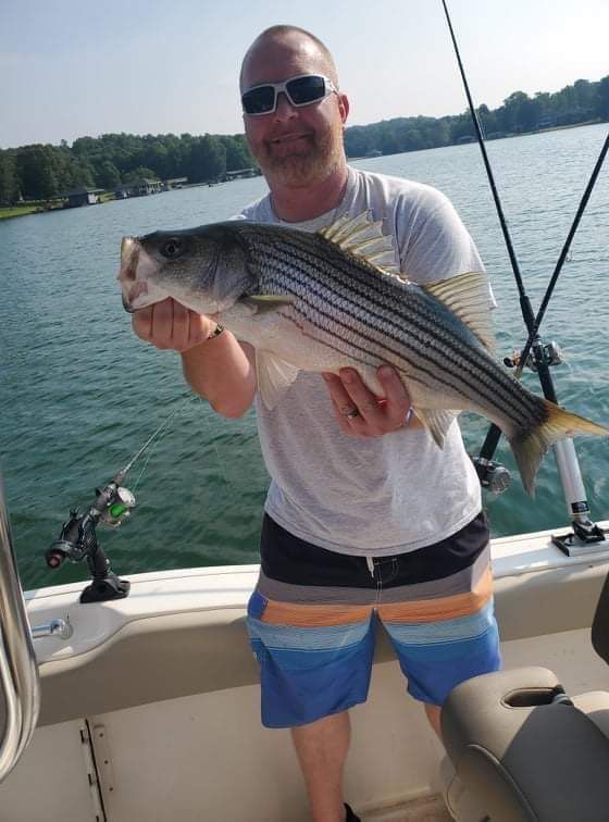 Man on a boat holding a large striped fish over a lake on a sunny day