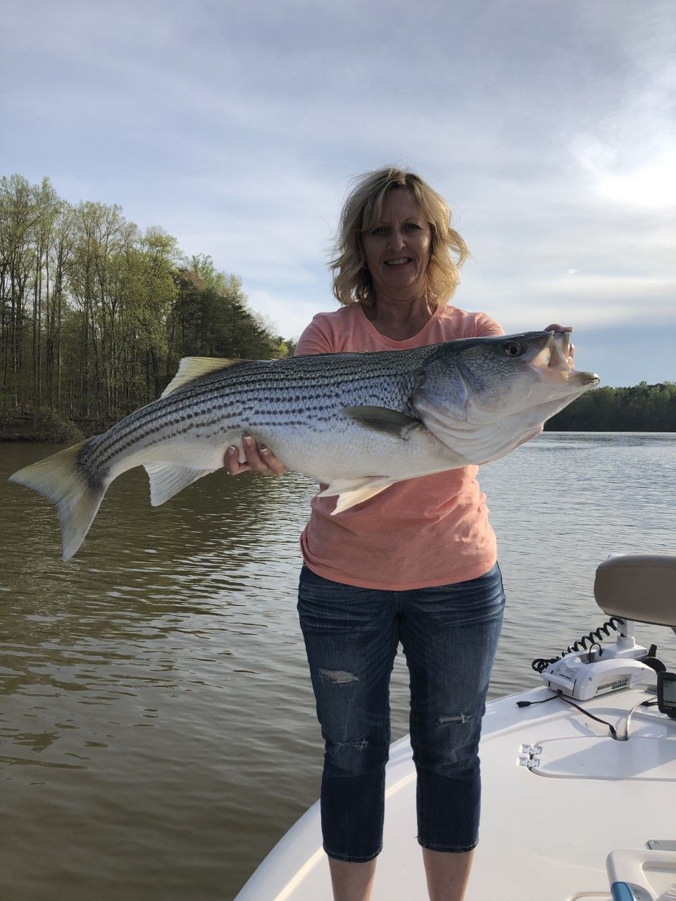 Person holding a large striped fish on a boat by a lake, with trees in the background.