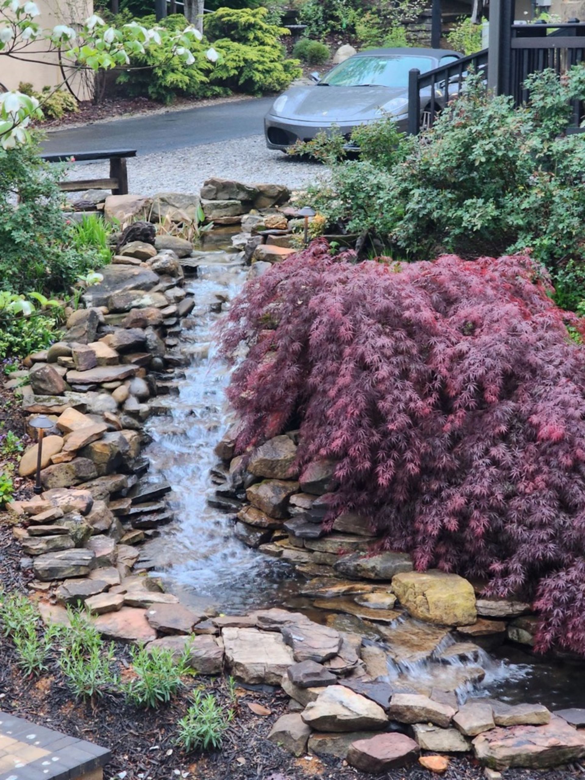 Water cascading down a stone-lined stream in a garden. Red Japanese maple tree on the right, gray car in the background.