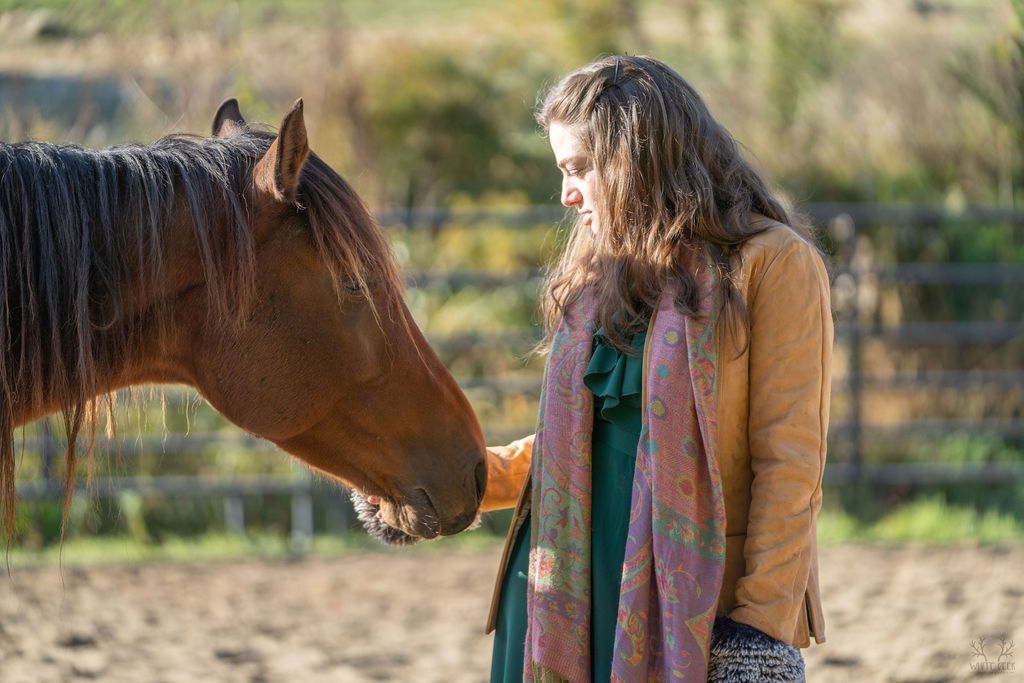A brown horse is running in a dirt field.