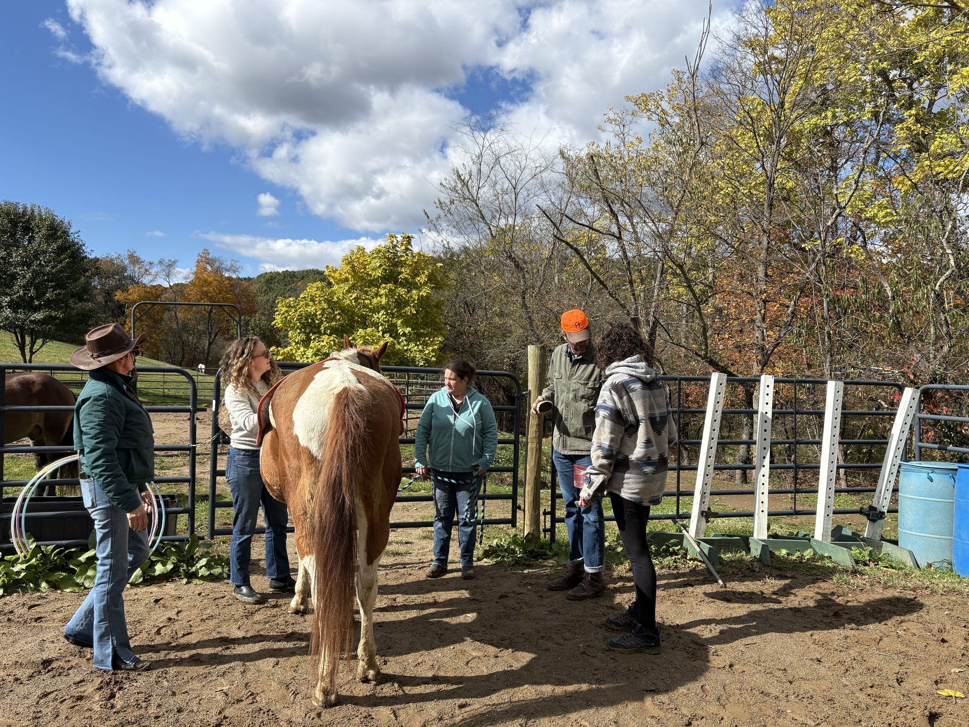 People gather around a brown and white horse in an outdoor pen.