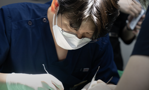 Dentist performing precise dental treatment