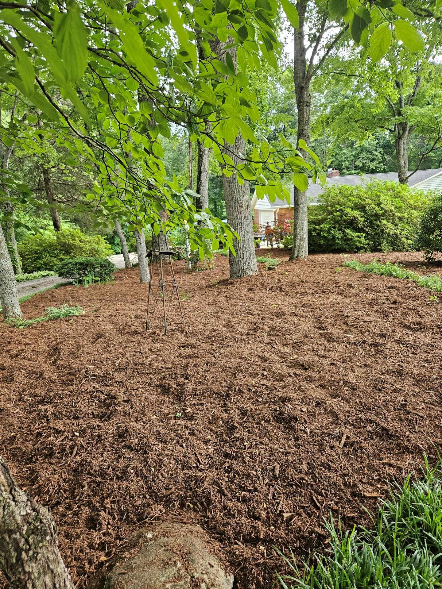 Mulched garden bed beneath green trees and shrubs in a landscaped yard