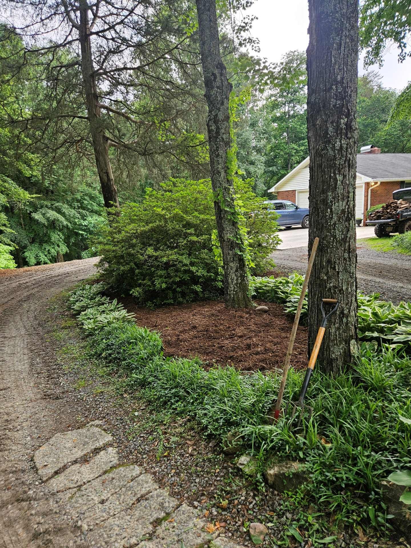 Curved stone path through a wooded yard beside a driveway and house, with trees and greenery.