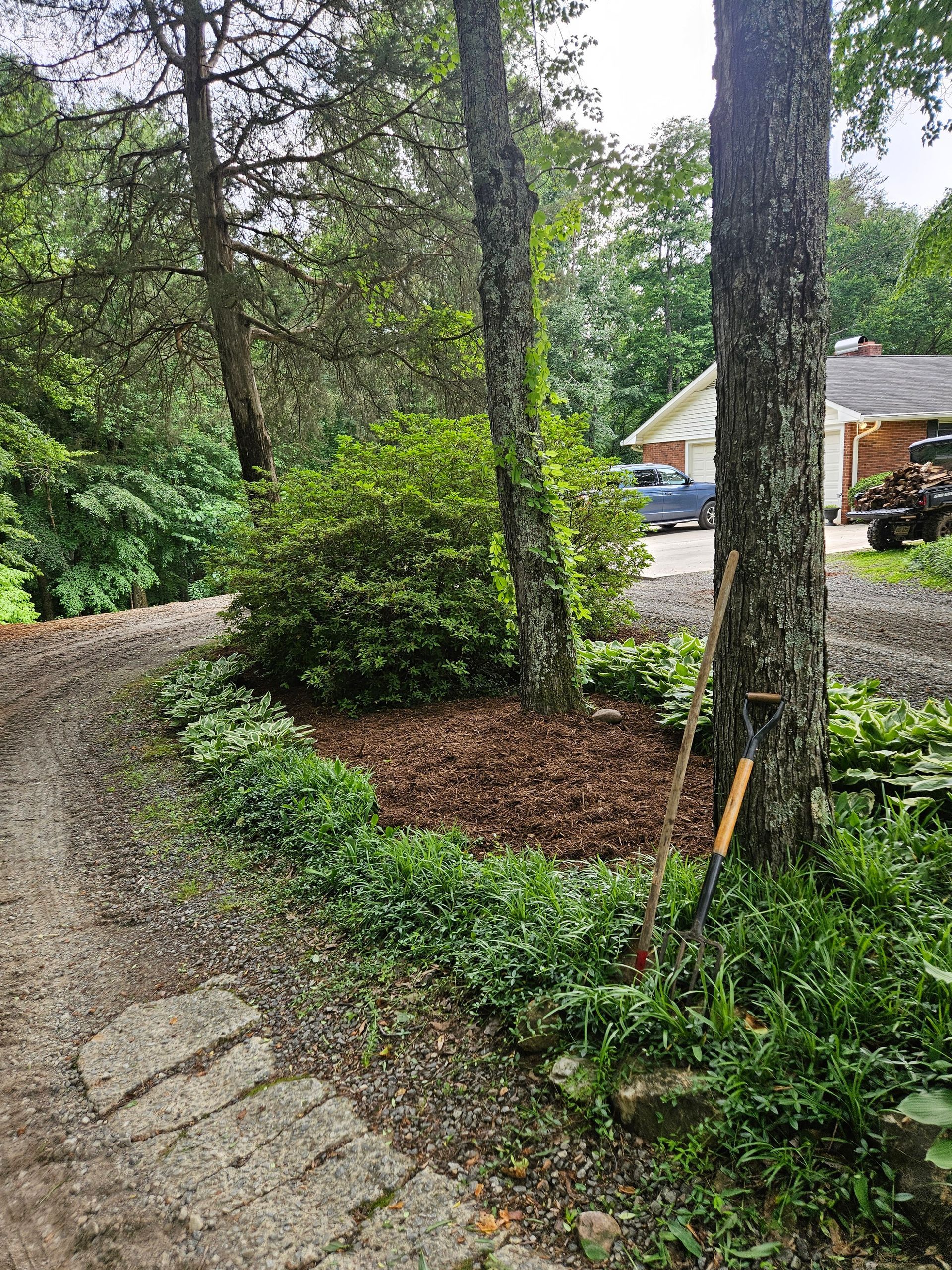Curved stone path beside mulch and trees in a leafy yard, with a house and parked car in the background