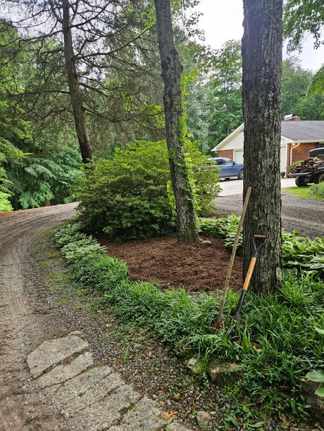 Curved stone driveway beside trees and shrubs, leading to a house with a parked car in the background